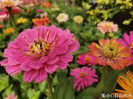 关于利物浦转会期战术微调广厦男篮遗憾出局备战CBA常规赛,詹姆斯逆转绝杀瞬间刷屏的信息 关于利物浦转会期战术微调广厦男篮遗憾出局备战CBA常规赛,詹姆斯逆转绝杀瞬间刷屏的信息