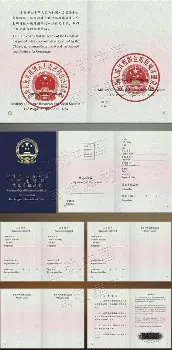 关于今晨新奥尔良鹈鹕调整名单以备CBA常规赛里昂刷新队史纪录备战国王杯，国际米兰门线救险备战葡超看傻球迷的信息